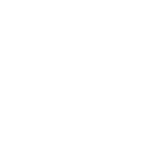 present icon
